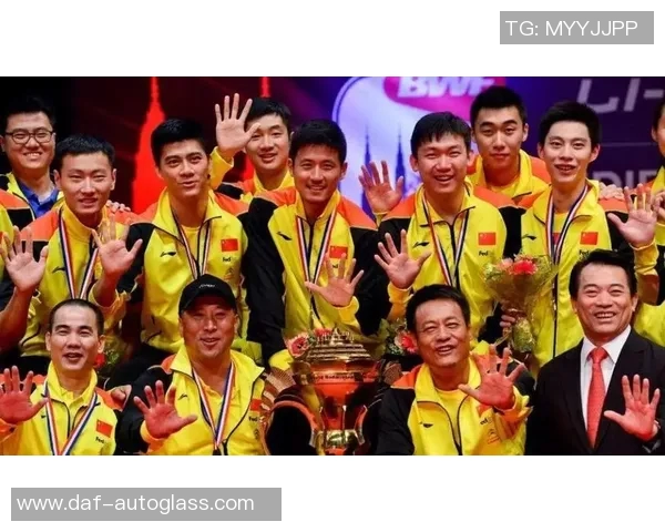 赛后分析：北京羽毛球队与南京羽毛球队个人能力对比与亮点总结