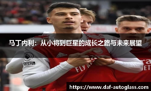 马丁内利：从小将到巨星的成长之路与未来展望